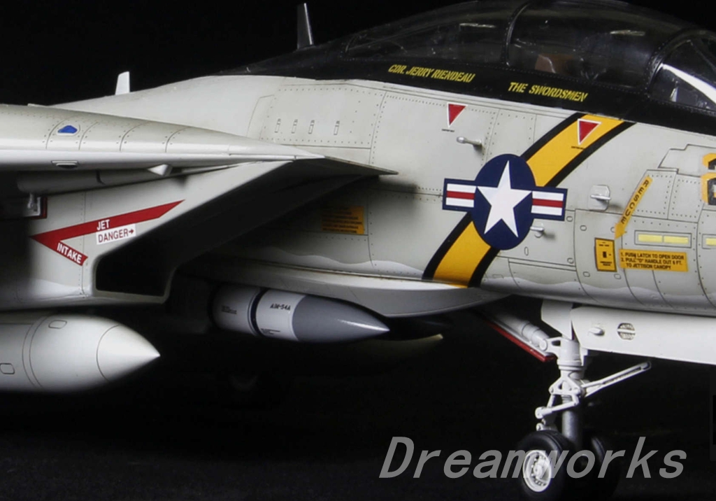 Award Winner Built HobbyBoss 1/48 F-14A Tomcat VF-142 Ghostrider USS  America+PE