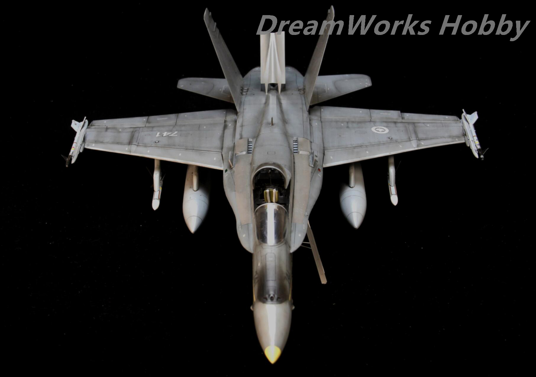 Award Winner Built Hasegawa 1 48 RCAF F 18C CF 18 PE Metal Resin