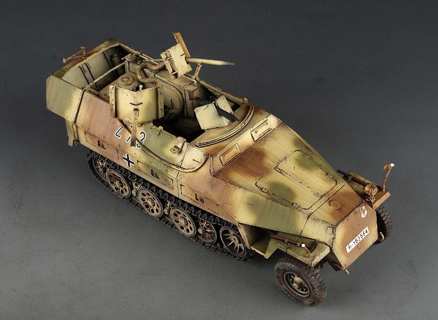 PE Award Winner Built Dragon 1/35 German Flammpanzerwagen Sdkfz 251/16D ...